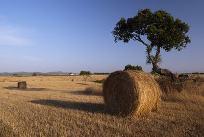 Hay bales on field against sky