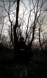 Bare trees against sky