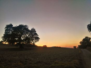 Silhouette trees on field against sky at sunset