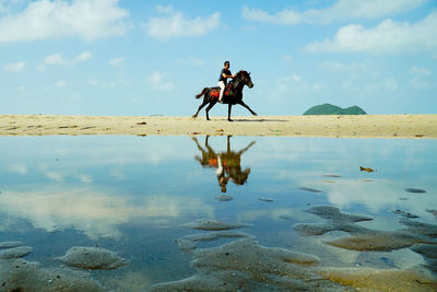 Man riding horse at beach against sky