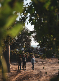 Rear view of people walking on street amidst trees