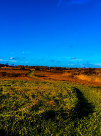 Scenic view of field against blue sky