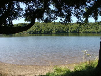 Scenic view of lake in forest against sky