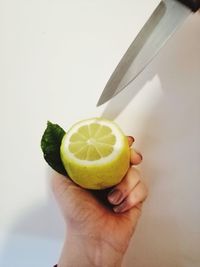 Cropped image of person holding apple against white background