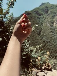 Close-up of woman hand holding plant