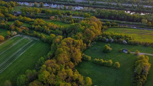 High angle view of agricultural field