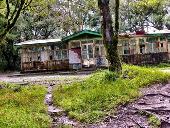 Houses on green landscape