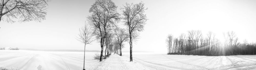 Bare trees on snow covered landscape against sky