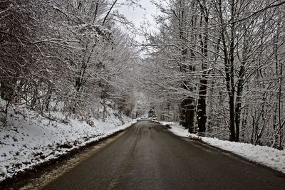 Road amidst trees during winter