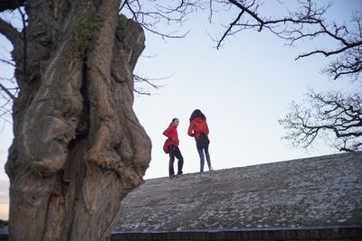 Low angle view of people walking on bare tree