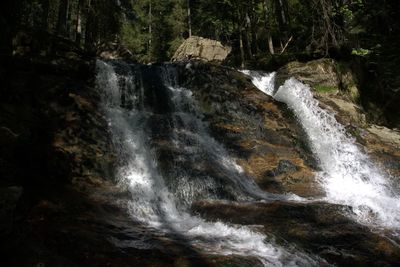 Scenic view of waterfall in forest