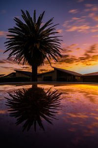 reflection
