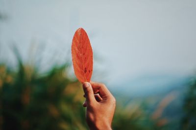Close-up of hand holding red leaf against sky