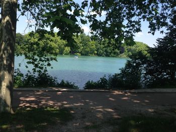 Scenic view of lake by trees against sky