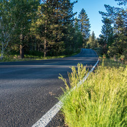 Road by trees against clear sky