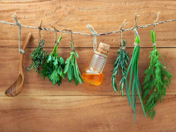 Herbs hanging on rope against wooden wall