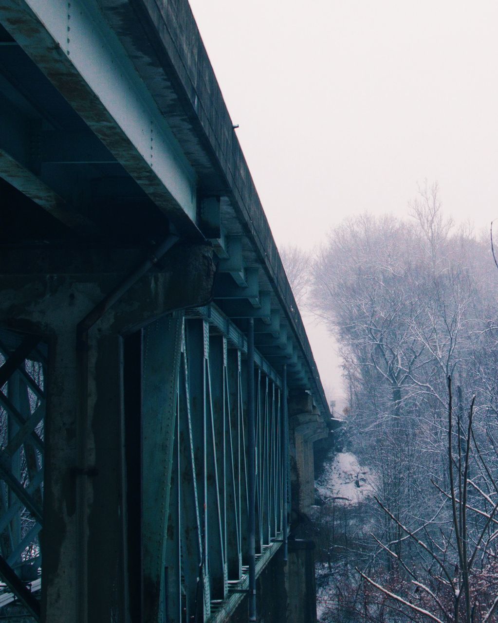 architecture, built structure, building exterior, clear sky, railing, house, low angle view, tree, sky, abandoned, bare tree, old, day, no people, wood - material, outdoors, building, residential structure, steps, winter