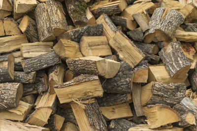 Full frame shot of logs in forest