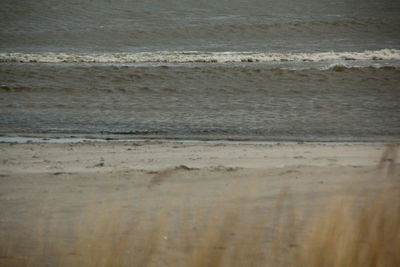 Full frame shot of sea shore