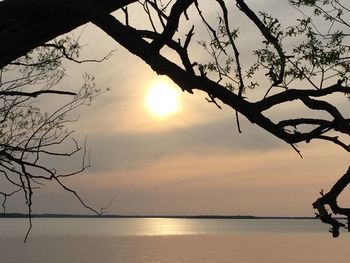 Silhouette bare tree by sea against sky during sunset