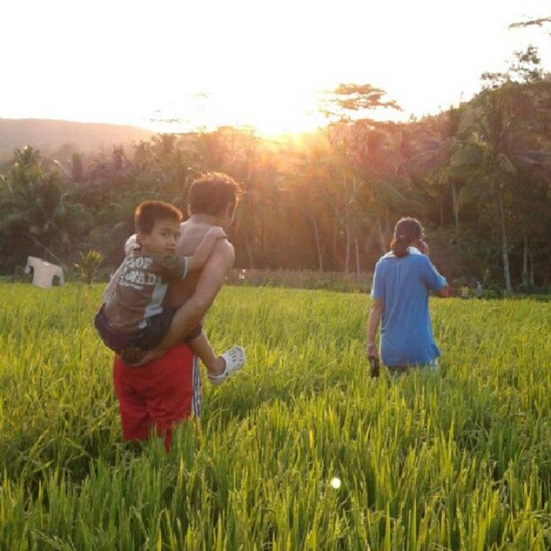 grass, leisure activity, lifestyles, field, sun, casual clothing, bonding, togetherness, childhood, sunlight, landscape, boys, love, rural scene, nature, agriculture, grassy