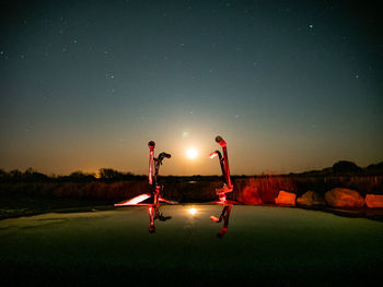 People standing on field against sky at night