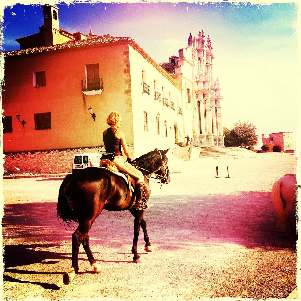 domestic animals, horse, building exterior, animal themes, working animal, architecture, built structure, mammal, one animal, full length, sky, dog, men, livestock, lifestyles, horseback riding, standing, pets