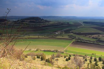 Scenic view of agricultural field against sky