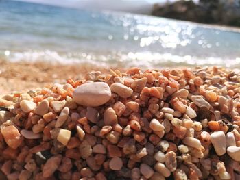 Close-up of pebbles on beach