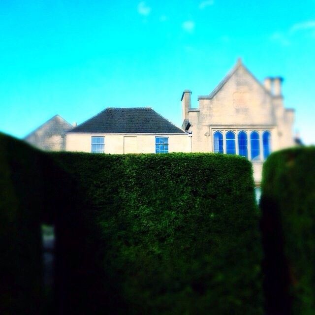 building exterior, architecture, built structure, blue, house, sky, clear sky, grass, residential structure, green color, day, field, outdoors, window, nature, plant, sunlight, no people, residential building, growth