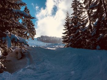 Panoramic view of snowcapped mountains against sky