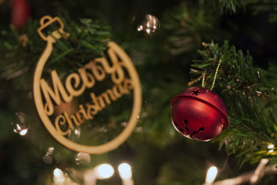 Close-up of christmas decorations hanging on tree