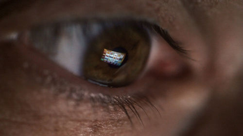 Close-up of woman eye