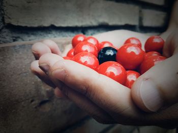 Close-up of hand holding fruits