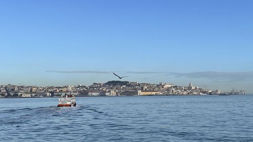 Ship in sea against clear blue sky