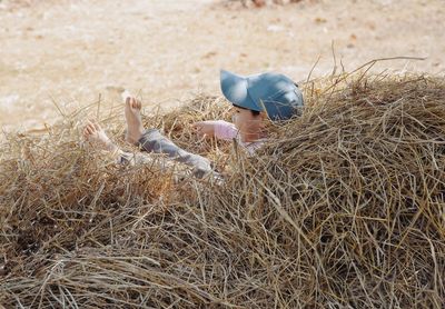 High angle view of cute boy sitting on hay