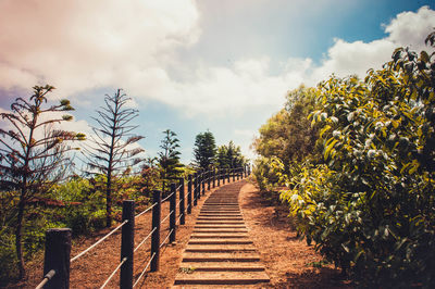 Footpath amidst trees against sky