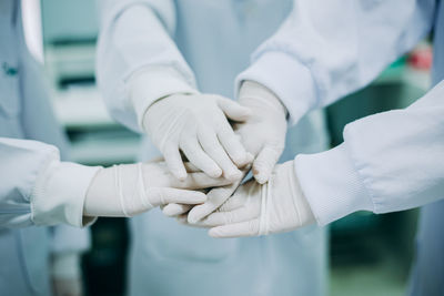 Close-up of hands holding white flowers