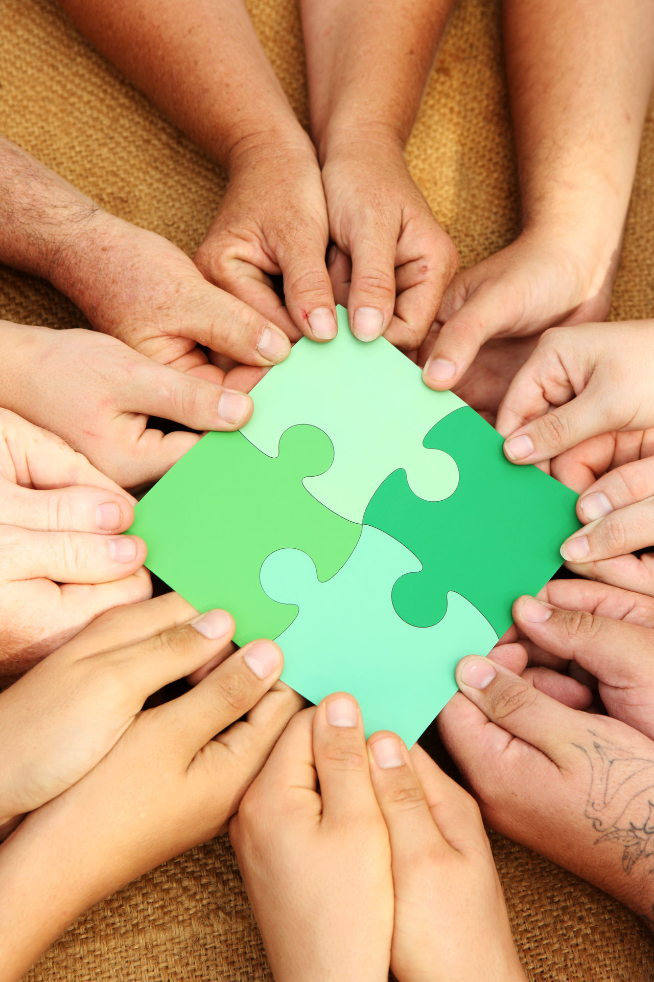 Cooperation wins the race