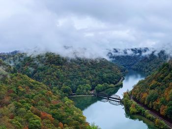 Scenic view of river amidst trees against sky