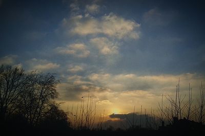 Silhouette trees against sky at sunset