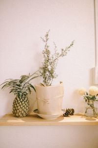 Close-up of potted plant on table