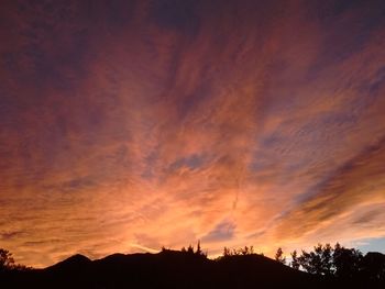 Low angle view of silhouette trees against sky during sunset