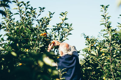 Low angle view of man holding leaves