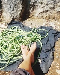 Low section of person wearing shoes