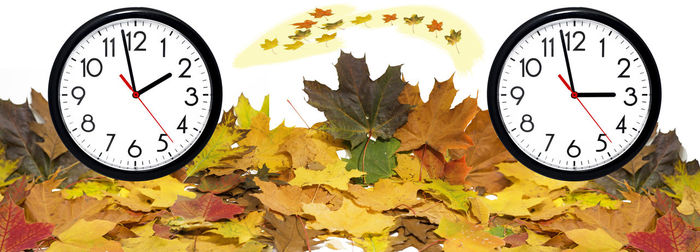 Clock on maple leaves during autumn