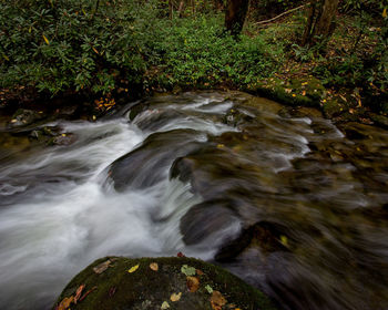 Stream flowing through rocks in forest