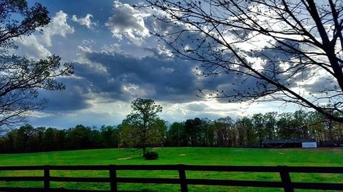 Trees on grassy field against cloudy sky