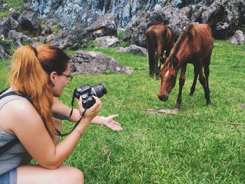 Woman photographing horses on grassy field
