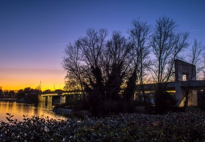 Trees by lake against sky during sunset